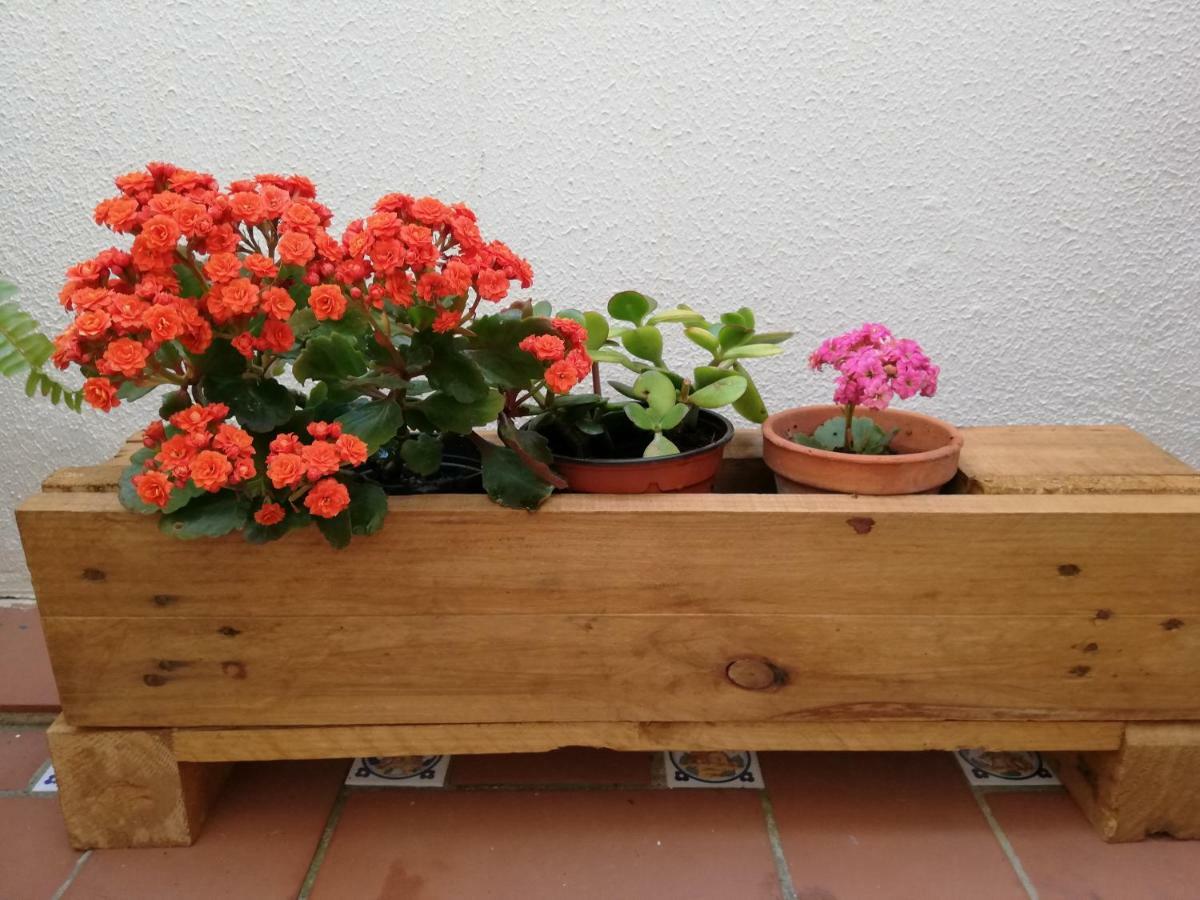 סן פרננדו Apartamentos Coralba - Duplex Bahia De Cadiz מראה חיצוני תמונה